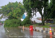 BMKG: Waspada Puncak Musim Hujan Indonesia November 2025-Februari 2028