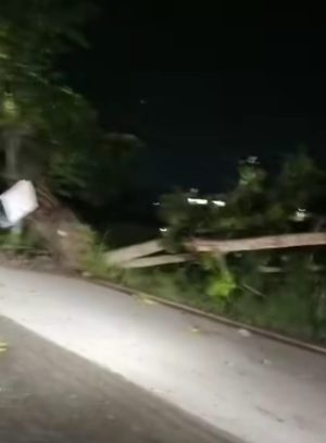 Pohon Tumbang di Komplek AMD Banjarmasin