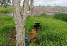 Kronologi Penemuan Jasad Pria Diduga Gantung Diri di Pohon Galam Desa Jejangkit Muara