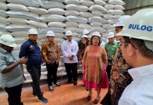 DPD RI Soroti Stok Beras LN dan DN di Bulog Kalsel