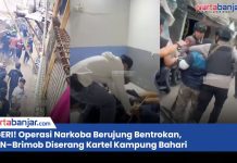 VIDEO - NGERI! Operasi Narkoba Berujung Bentrokan, BNN–Brimob Diserang Kartel Kampung Bahari