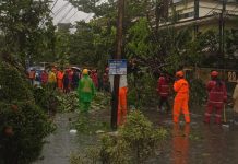 Pohon Tumbang Timpa Mobil di Jalan Dharma Praja