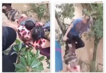 2 Hari 2 Malam Bertahan Tanpa Makan! Video Warga Aceh Berpegangan di Pohon di Tengah Banjir Bikin Netizen Menangis