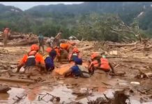 Komisi IV DPR Usul Bentuk Panja Penyelamatan Hutan Usai Bencana di Sumatera