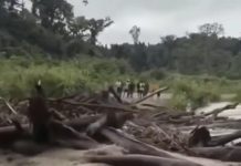 Distrik Keerom Papua Banjir Hanyutkan Gelondongan Kayu, Netizen: Mirip Banjir Sumatera