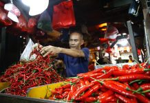 DPR Minta Pemerintah Antisipasi Kenaikan Harga Pangan Jelang Nataru