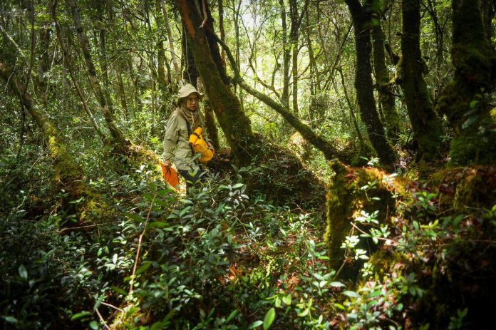 DPR Sebut Seruan Patungan Beli Hutan Usai Banjir Sumatera sebagai Sindiran Tajam