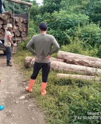35 Kayu Ilegal Diamankan Petugas KPH di Desa Riam Adungan
