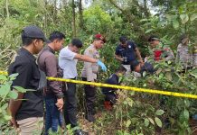 BREAKING NEWS - Kerangka Manusia Ditemukan di Bawah Pohon, Polisi Liang Anggang Temukan Seutas Tali!
