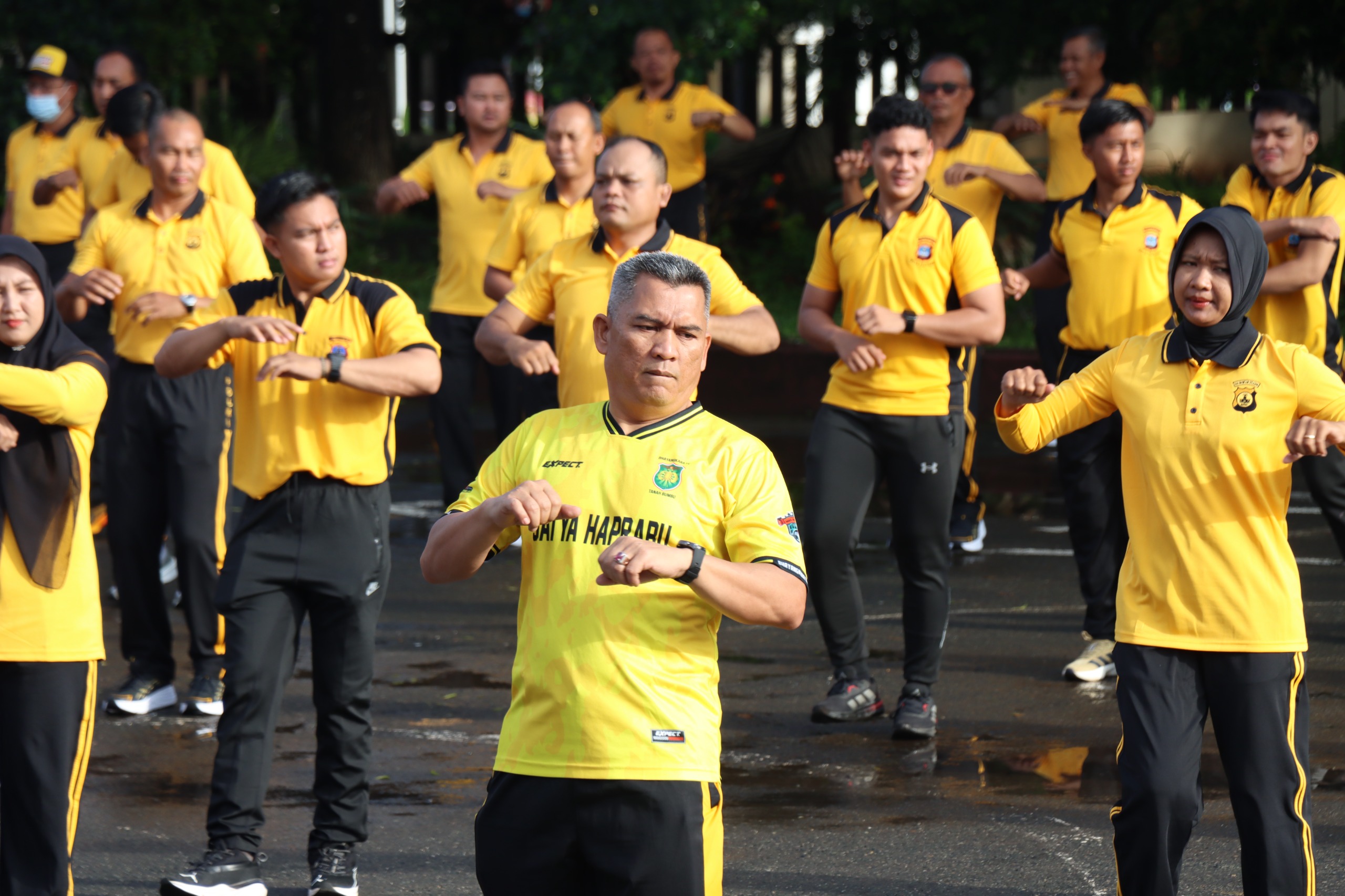 Mengurai Simpul Sinergi1