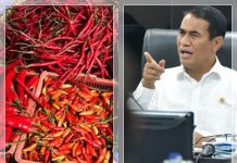 Harga Cabai Meroket Jelang Nataru, Mentan Amran Sebut Wajar!
