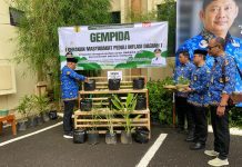 Pemkab HST Resmikan GEMPIDA: Gerakan Massal Tanam Cabai untuk Redam Inflasi!