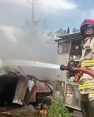 Kebakaran di Belakang Komplek Griya Plamboyan Gambut