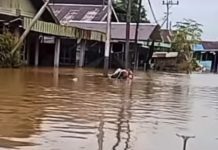 BPBD: Puluhan Ribu Rumah dan Warga di 152 Desa Terdampak Banjir di Kabupaten Banjar