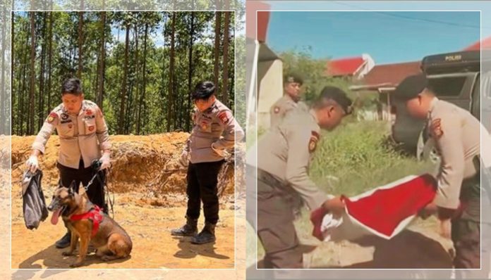 Anjing Pelacak Reno Gugur Saat Misi Kemanusiaan di Agam, Dimakamkan dengan Penghormatan Negara
