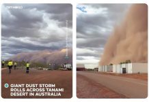 Badai Debu Tebal dan Tinggi Landa Gurun Tanami Australia