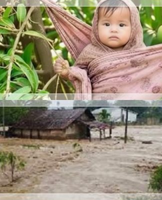 Kisah Nyata dari Aceh! Ikat Bayinya di Pohon Mangga Saat Banjir, Ibu Ini Rela Tenggelam Demi Selamatkan Anaknya
