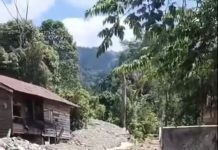 MENGERIKAN! Cuaca Cerah Tapi Banjir Bandang Mendadak Hantam Maninjau, Kayu dan Batu Mengamuk di Permukiman