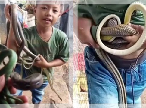 Bikin Haru! Dika Bocah 11 Tahun Nekat Berburu Ular Demi Uang Jajan dan Bantu Keluarga, Kisahnya Viral