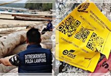 VIRAL! Kayu Ada Barcode “Kemenhut” Terdampar, Kapolda Lampung Turun Periksa, Netizen: Bukti Nyamperin Sendiri!