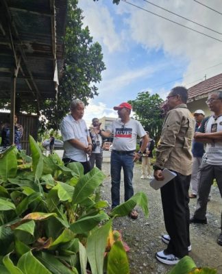 Temuan DKPP Kalsel, Ada Bibit Pisang Tanpa Izin Edar