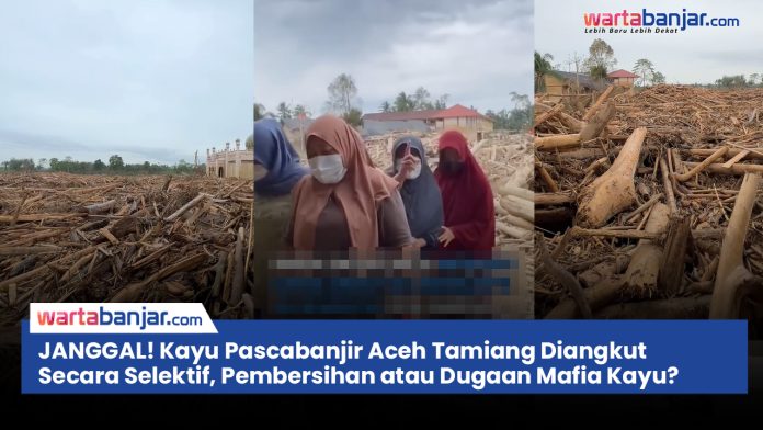 VIDEO - JANGGAL! Kayu Pascabanjir Aceh Tamiang Diangkut Secara Selektif, Pembersihan atau Dugaan Mafia Kayu?