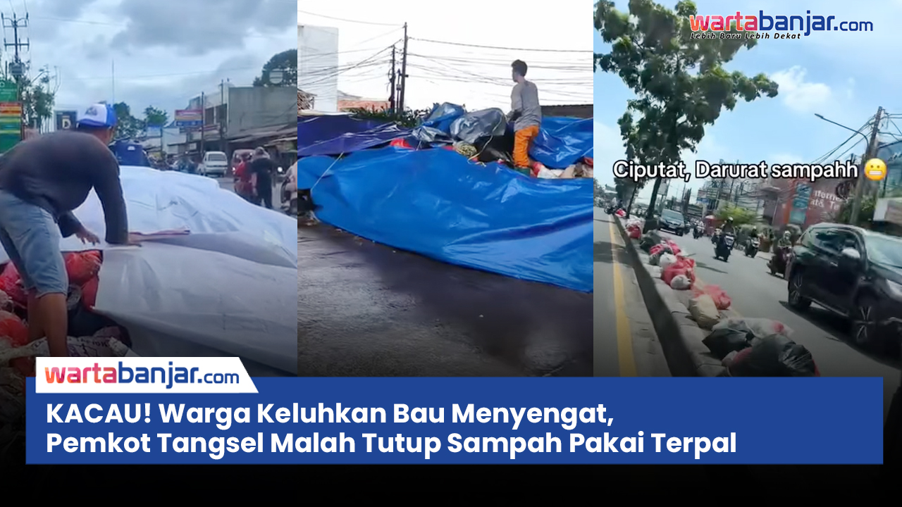 thumb Video Warta news2