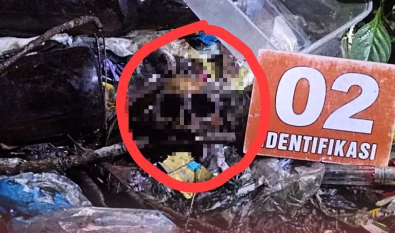 Geger Penemuan Tengkorak di km 101 Desa Suato Tatakan Tapin, Bukan Bayi?