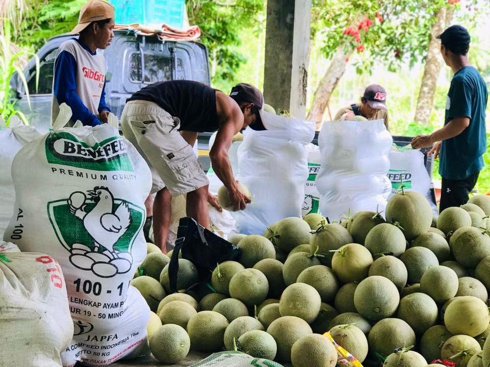 BUMDes Partala Desa Jatuh