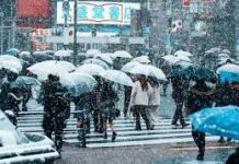 Salju Terdahsyat dalam Sejarah! Badai Putih Melumpuhkan Hokkaido, Ribuan Penumpang Terjebak di Bandara Jepang