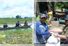 Terobos Banjir Setinggi Lutut, Bupati HST Samsul Rizal Pastikan Solusi Permanen untuk Desa Kayu Rabah