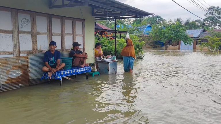 Pasca Banjir, Dinkes Banjar Imbau Warga Waspadai Ancaman Penyakit