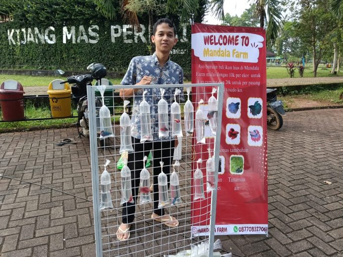 Kisah Rama, Mahasiswa Politala Penjual Ikan Hias RTH Kijang Mas 'Tetap Produktif'