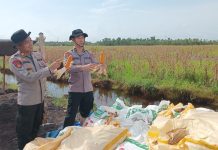 Polresta Banjarmasin Laksanakan Panen Jagung Kuartal IV, Lahan Sempat Terendam Banjir