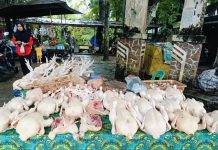 Harga Cabai dan Ayam Ras Naik di Pasar HST, Disdag Lakukan Pemantauan Intensif