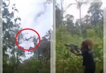 KKB Klaim Tembaki Pesawat Wapres Gibran di Yahukimo, TNI Tegas Bantah dan Sebut Hoaks