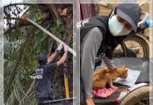 Haru dari Aceh! 3 Pekan Bertahan di Pohon Sawit Saat Banjir Bandang, “Preman Tamiang” Akhirnya Diselamatkan