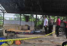 GEGER! Pria Ditemukan Tewas di Eks Gudang Karet Barabai, Warga Curiga Usai Lihat Wajah Dipenuhi Semut