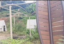 Kontras dengan Kaltim! Rest Area Perbatasan Kalsel–Kaltim di Tabalong Dipenuhi Semak, Bupati: Tahun Ini Selesai