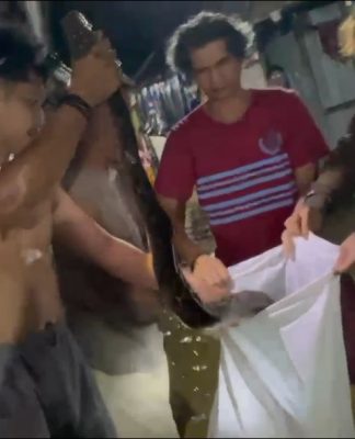 Seekor Ular Piton Besar dan Panjang Ditangkap Warga Saat Banjir di Teluk Tiram