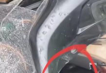Musim Banjir, Seekor Ular Piton Ditemukan Melingkar di Box Sepeda Motor Warga Banjarmasin