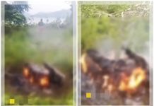 Anak Bunuh Ibu Kandung &amp; Jasadnya Dibakar di Lombok Barat, Motifnya Mengejutkan: Cuma Gegara Uang!