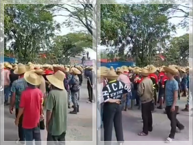 demo damai2