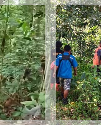 Misterius! Dua Warga Diduga Hilang Tanpa Jejak di Hutan Kotabaru, Netizen Singgung Gerbang Saranjana