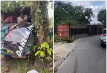 BREAKING NEWS! Kecelakaan Parah di Banjarbaru, Truk Kontainer Tabrak Pohon hingga Muatan Terguling ke Badan Jalan