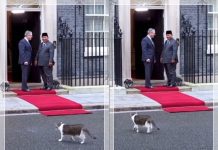 Akhirnya Prabowo Teken Perpres Kenaikan Gaji Hakim Ad Hoc, Gegara Ancaman Mogok!