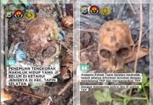 TERUNGKAP! Penemuan Tengkorak di Tapin Ternyata Bukan Manusia: Polisi Diduga Milik Binatang Langka dan Dilindungi