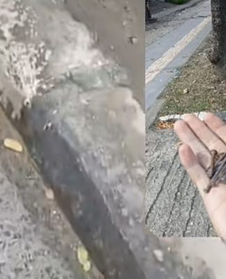 Waspada Banyak Paku di Kayutangi Banjarmasin