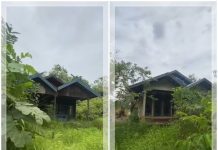 VIRAL! Dusun Tanjung Kupang di Kapuas Kosong Puluhan Tahun, Rumah Masih Berdiri Kokoh tapi Tak Berpenghuni