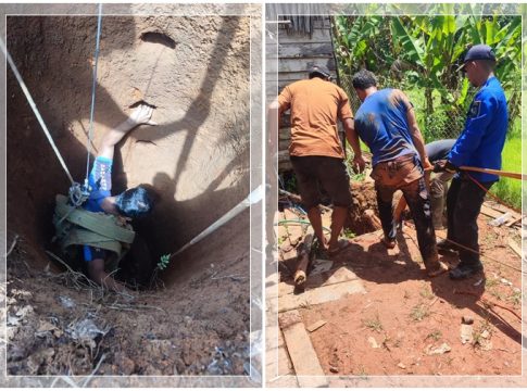 Dramatis! Sapi Warga Guntung Besar Tercebur ke Sumur, Damkar Tanah Laut Berjibaku Lakukan Evakuasi